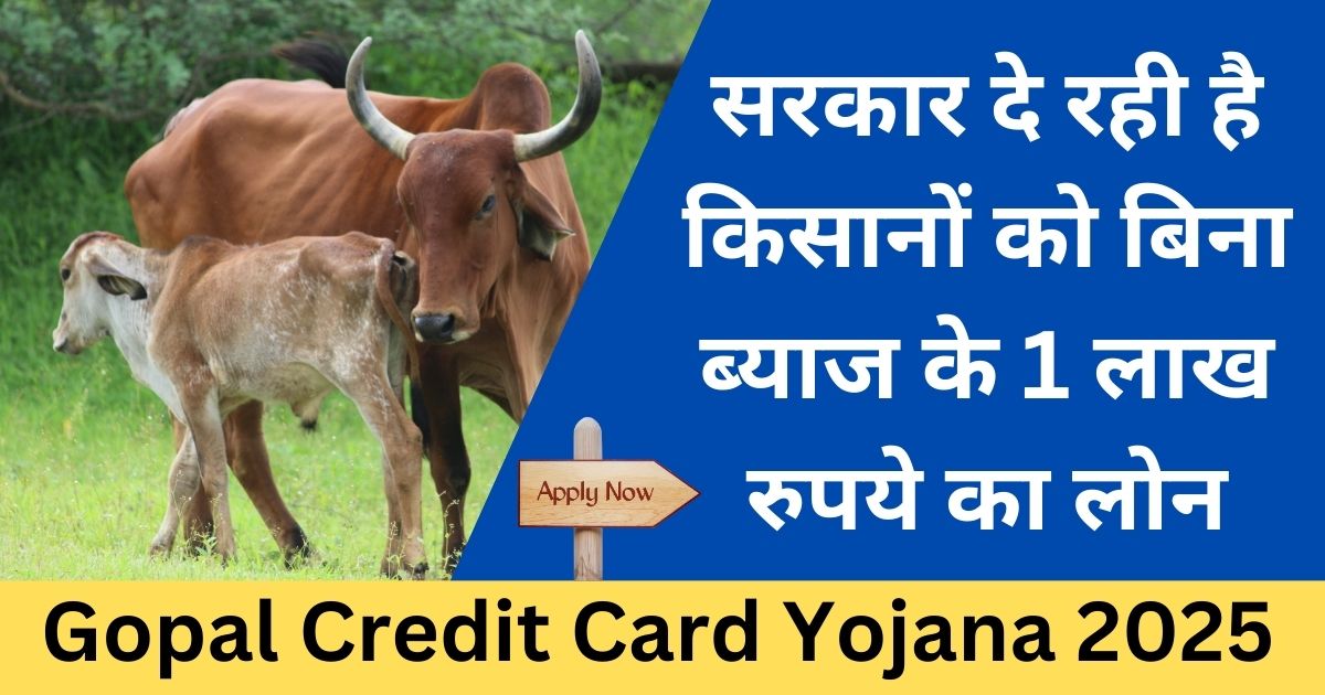 Gopal Credit Card Yojana 2025 - Sarkari Yojana 2025