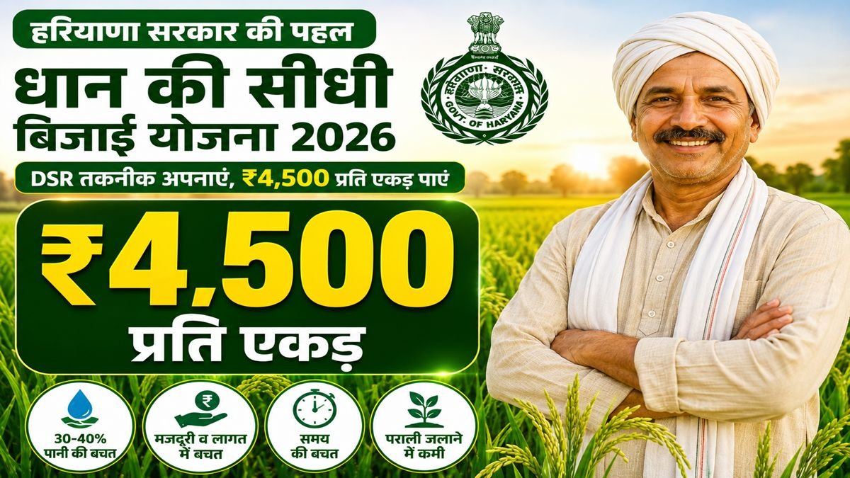 Haryana Dhan Ki Sidhi Bijai Yojana 2026 – ₹4,500 प्रति एकड़