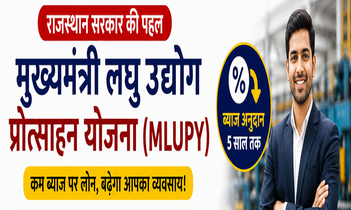 Mukhyamantri Laghu Udyog Protsahan Yojana
